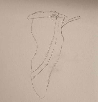 This is the side view I drew.