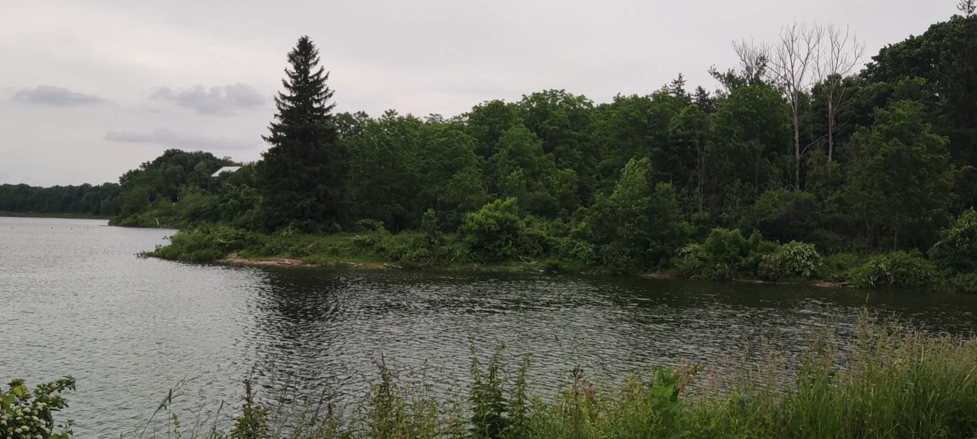 put a description here or you will lose grades