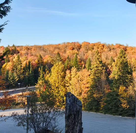 put a description here or you will lose grades