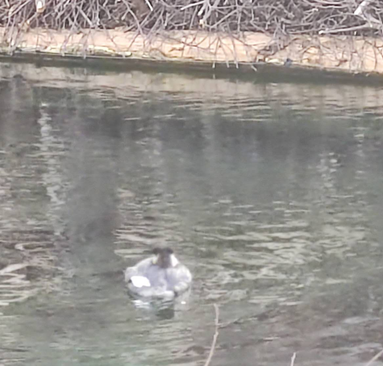 put a description here or you will lose grades